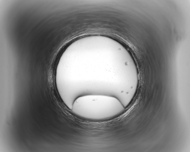 X0000098221498200804241122