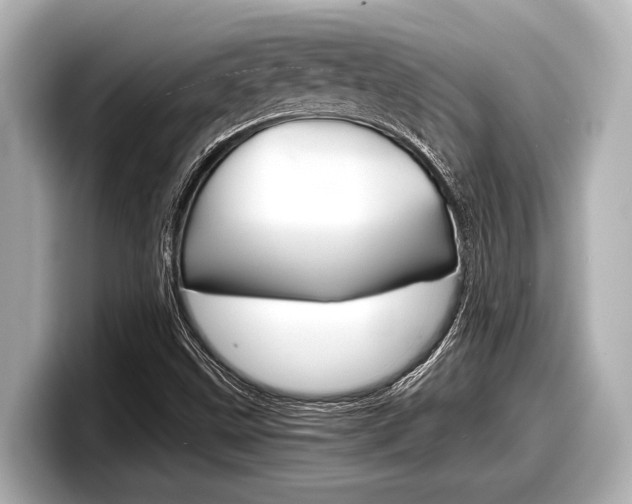 X0000098221499200804241122