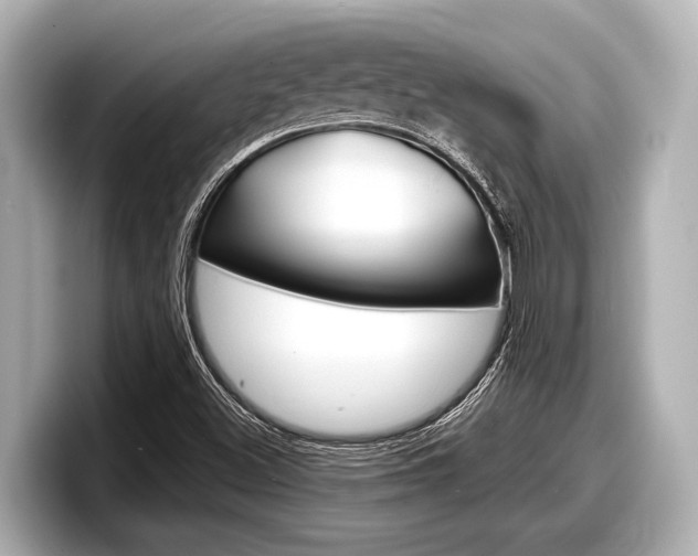 X0000098221500200804241122