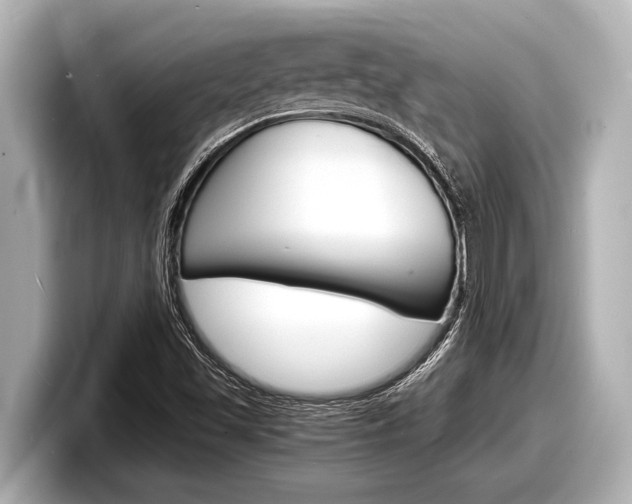 X0000098221501200804241122