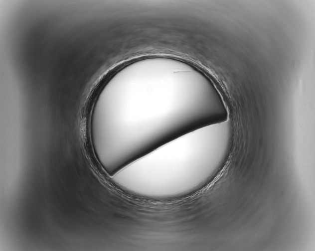 X0000098221503200804241122