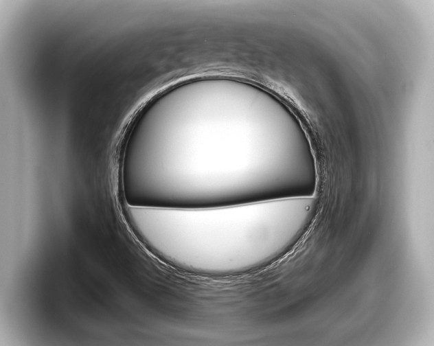 X0000098221504200804241122
