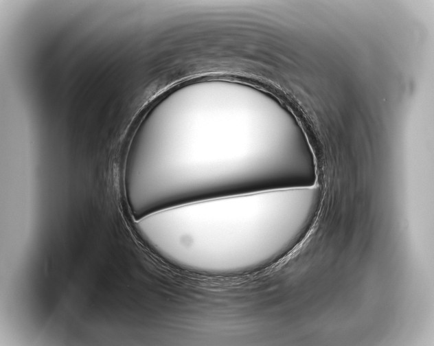 X0000098221505200804241122