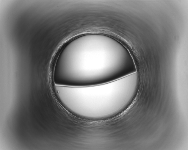 X0000098221506200804241122