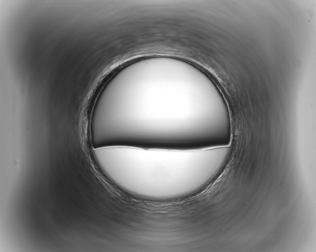X0000098221507200804241122