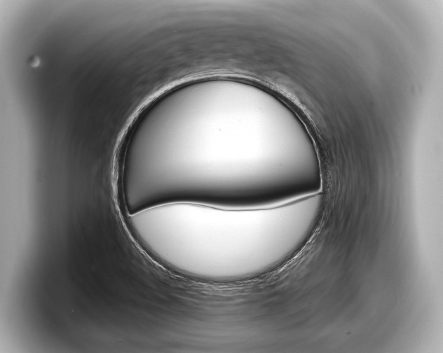 X0000098221508200804241122