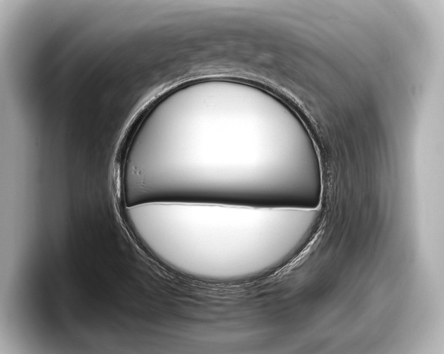 X0000098221509200804241122
