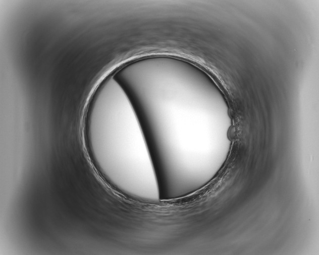 X0000098221511200804241122