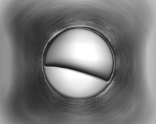 X0000098221513200804241122