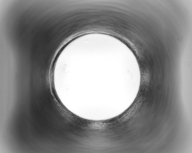 X0000098221514200804241122