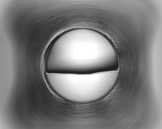 X0000098221515200804241122
