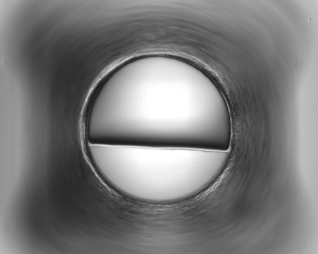X0000098221517200804241122