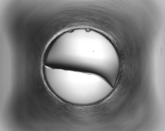 X0000098221518200804241122