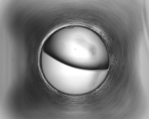 X0000098221520200804241122