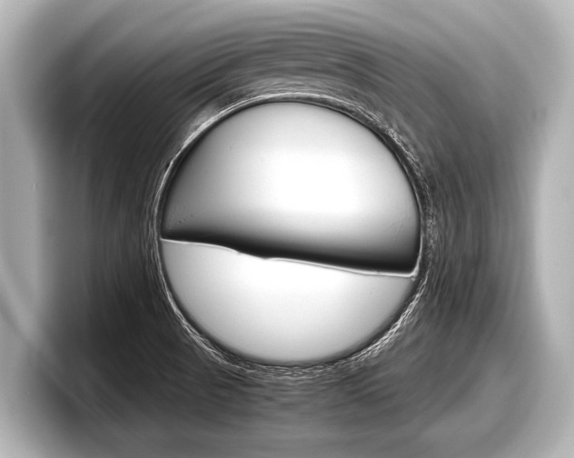 X0000098221521200804241122
