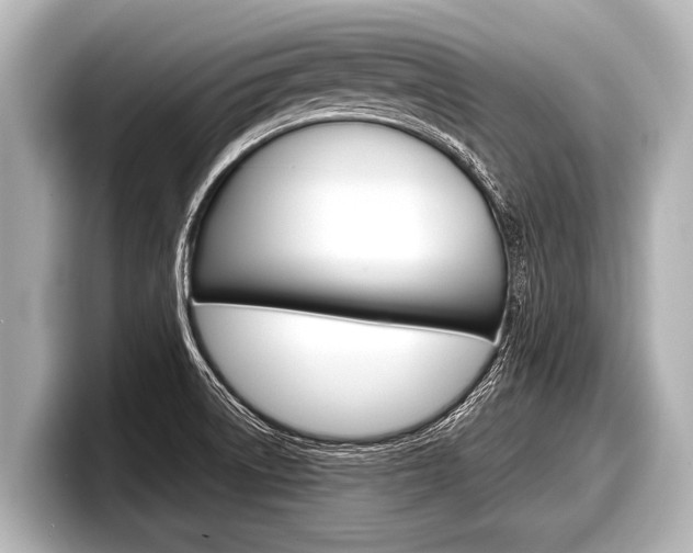 X0000098221522200804241122