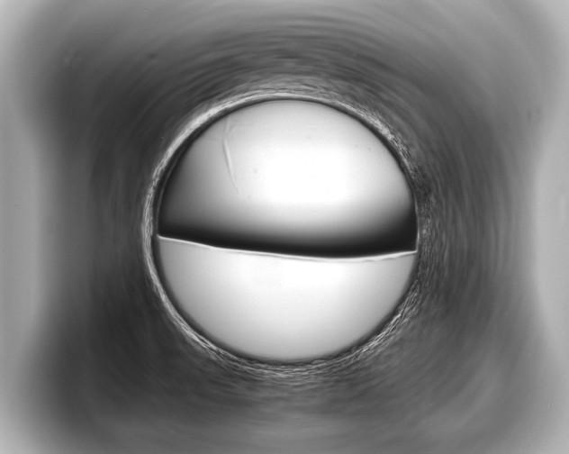 X0000098221523200804241122