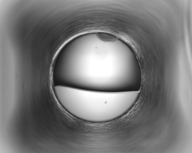 X0000098221524200804241122