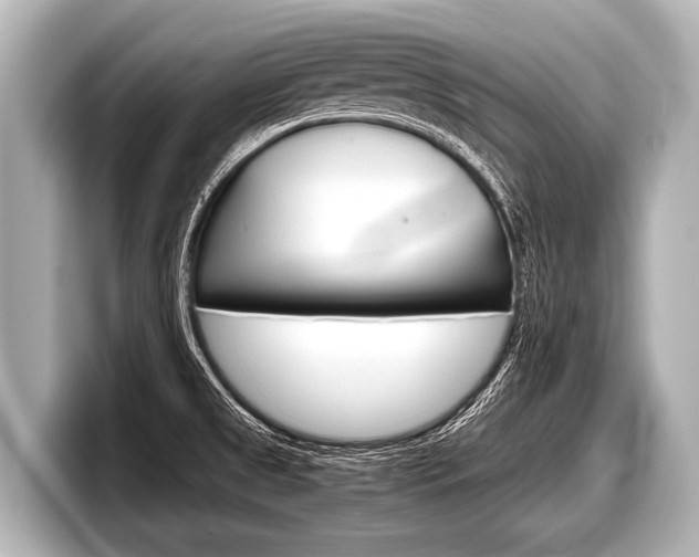X0000098221525200804241122