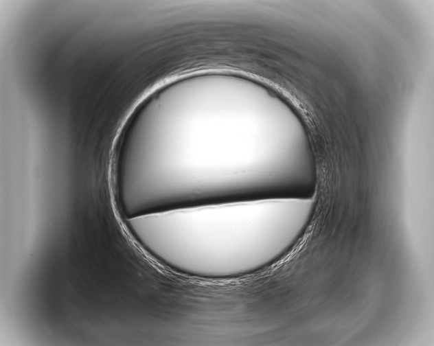 X0000098221526200804241122