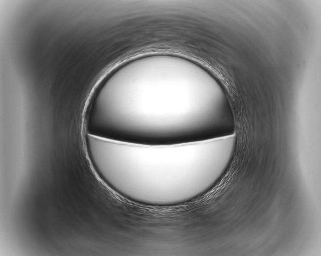 X0000098221527200804241122