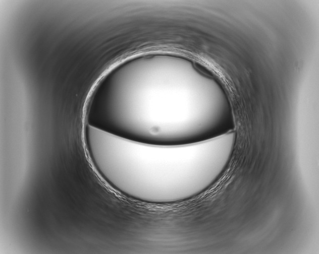 X0000098221528200804241123