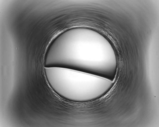 X0000098221529200804241123