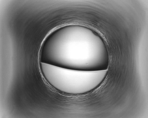 X0000098221530200804241123