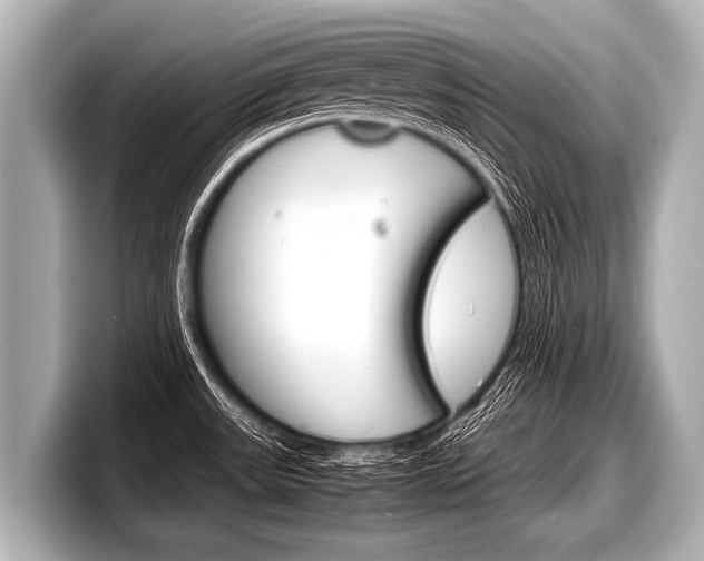 X0000098221531200804241123
