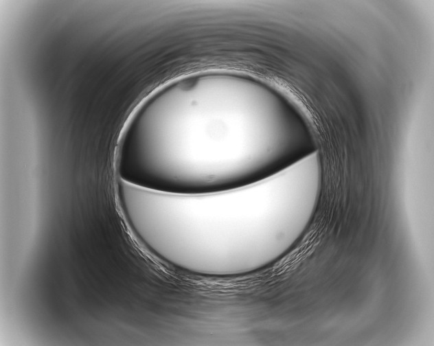 X0000098221532200804241123