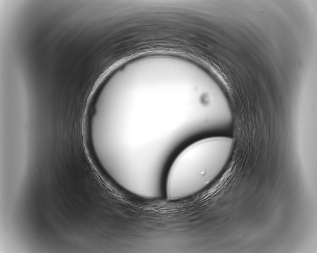 X0000098221533200804241123
