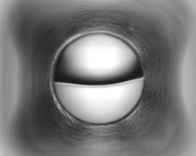 X0000098221534200804241123