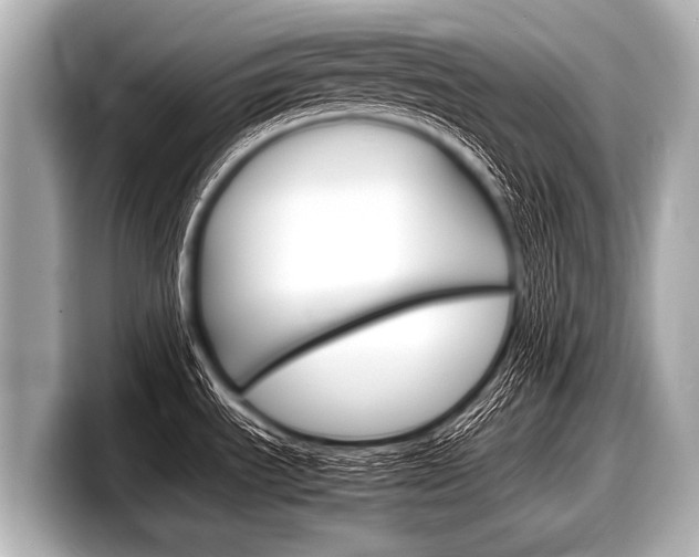 X0000098221535200804241123