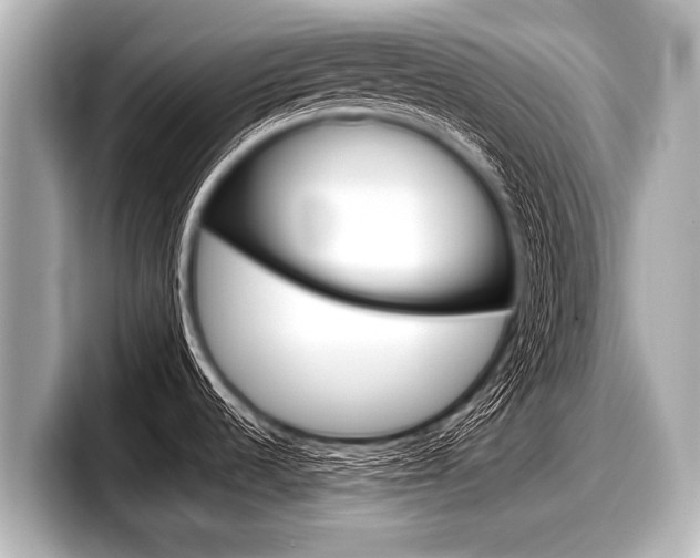 X0000098221536200804241123