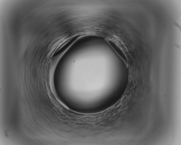 X0000098220001200804241355