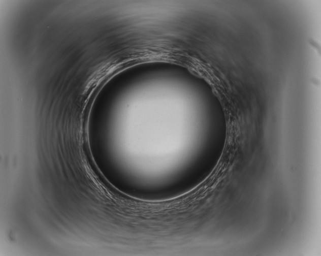 X0000098220002200804241355