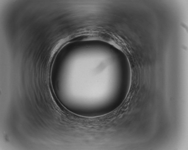 X0000098220003200804241355