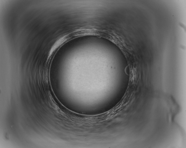 X0000098220004200804241355