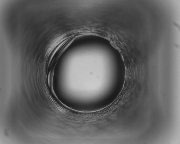 X0000098220005200804241355