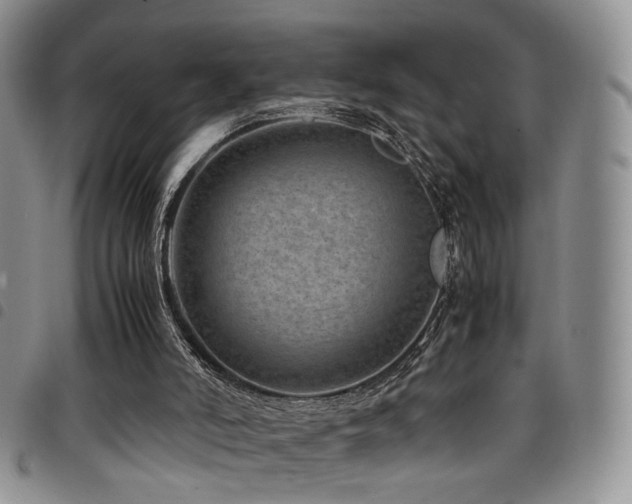 X0000098220006200804241355