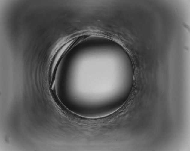X0000098220007200804241354