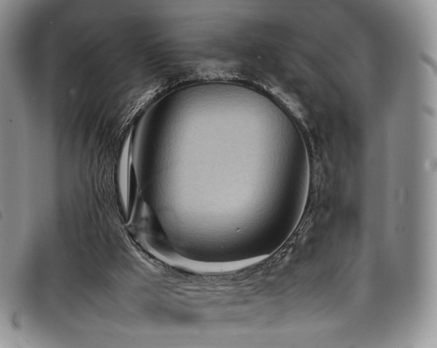 X0000098220009200804241354