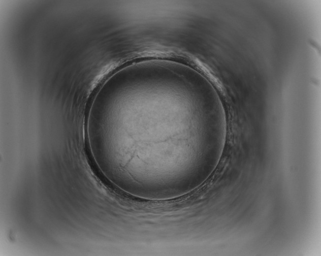 X0000098220011200804241354