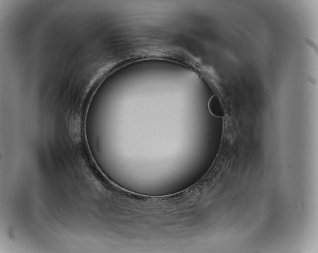 X0000098220012200804241354
