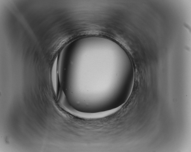 X0000098220013200804241354