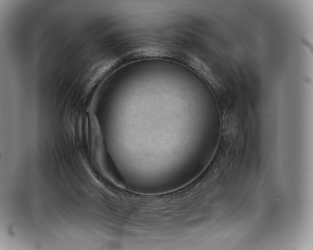 X0000098220014200804241354