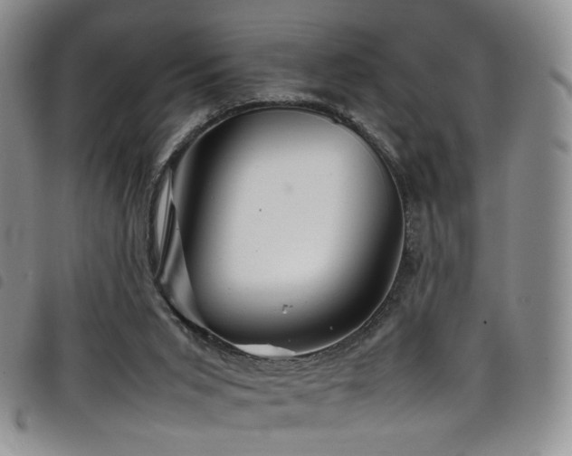X0000098220015200804241354