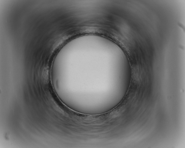 X0000098220016200804241354
