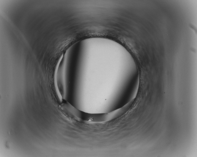 X0000098220017200804241354