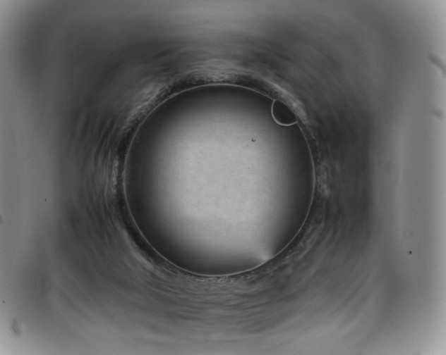 X0000098220018200804241354